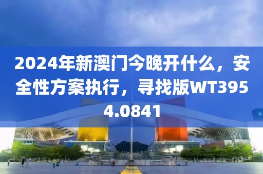 2024年新澳门今晚开什么，安全性方案执行，寻找版WT3954.0841