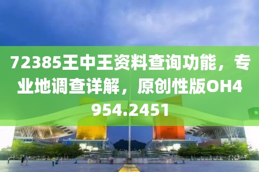 72385王中王资料查询功能，专业地调查详解，原创性版OH4954.2451