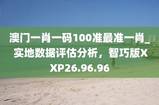 澳门一肖一码100准最准一肖_ 实地数据评估分析，智巧版XXP26.96.96