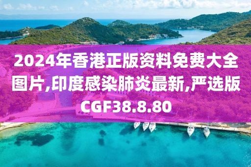 2024年香港正版资料免费大全图片,印度感染肺炎最新,严选版CGF38.8.80