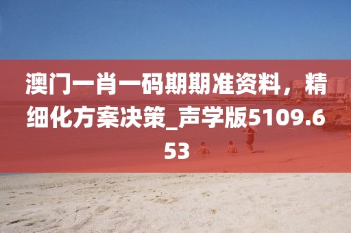 澳门一肖一码期期准资料，精细化方案决策_声学版5109.653