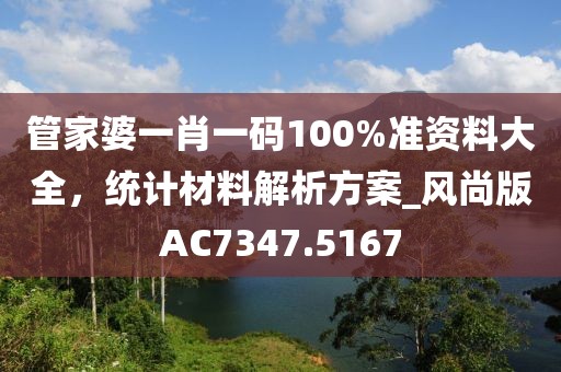管家婆一肖一码100%准资料大全，统计材料解析方案_风尚版AC7347.5167