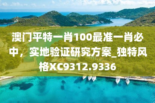 澳门平特一肖100最准一肖必中，实地验证研究方案_独特风格XC9312.9336