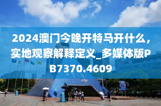 2024澳门今晚开特马开什么，实地观察解释定义_多媒体版PB7370.4609
