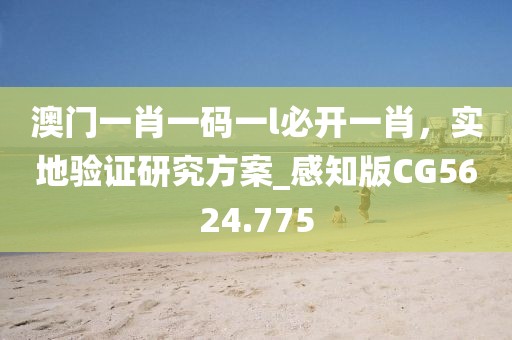 澳门一肖一码一l必开一肖，实地验证研究方案_感知版CG5624.775