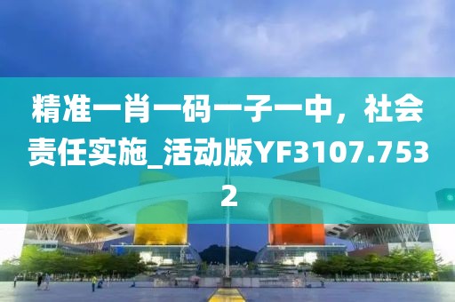 精准一肖一码一子一中，社会责任实施_活动版YF3107.7532