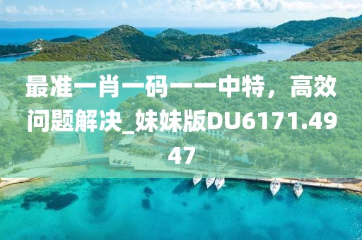 最准一肖一码一一中特，高效问题解决_妹妹版DU6171.4947