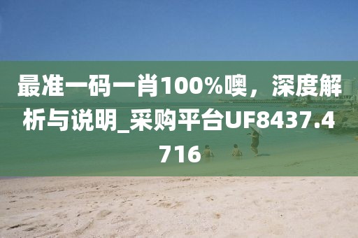 最准一码一肖100%噢，深度解析与说明_采购平台UF8437.4716