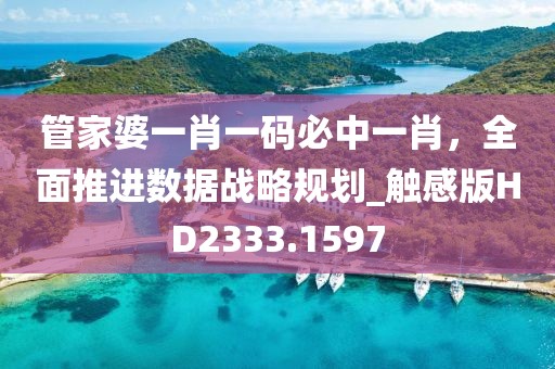 管家婆一肖一码必中一肖，全面推进数据战略规划_触感版HD2333.1597