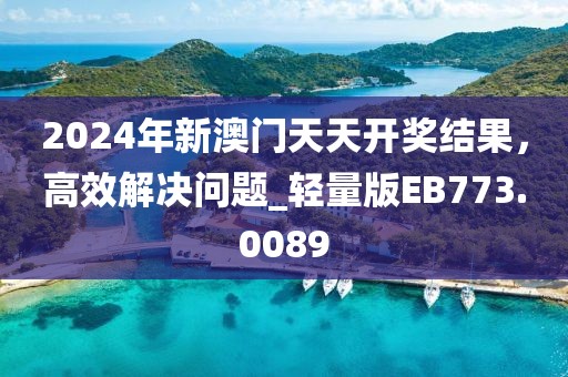 2024年新澳门天天开奖结果，高效解决问题_轻量版EB773.0089
