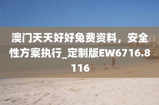 澳门天天好好兔费资料，安全性方案执行_定制版EW6716.8116