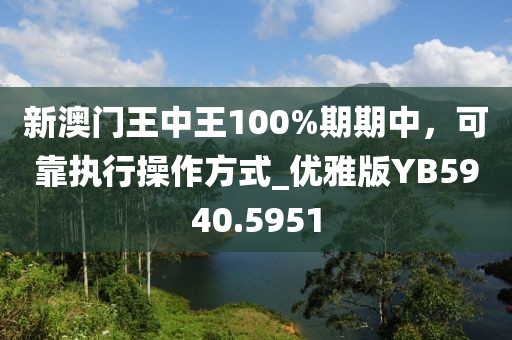 新澳门王中王100%期期中，可靠执行操作方式_优雅版YB5940.5951