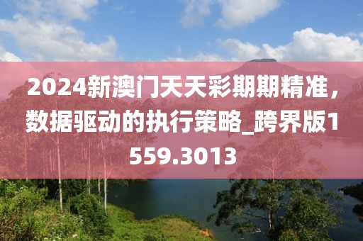 2024新澳门天天彩期期精准，数据驱动的执行策略_跨界版1559.3013