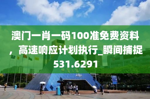 澳门一肖一码100准免费资料，高速响应计划执行_瞬间捕捉531.6291