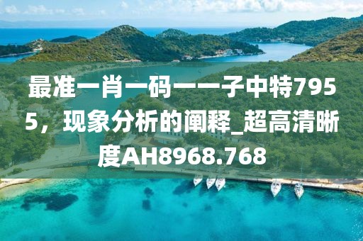 最准一肖一码一一子中特7955，现象分析的阐释_超高清晰度AH8968.768