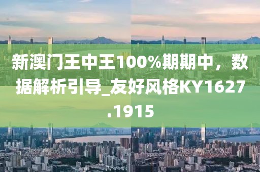 新澳门王中王100%期期中，数据解析引导_友好风格KY1627.1915