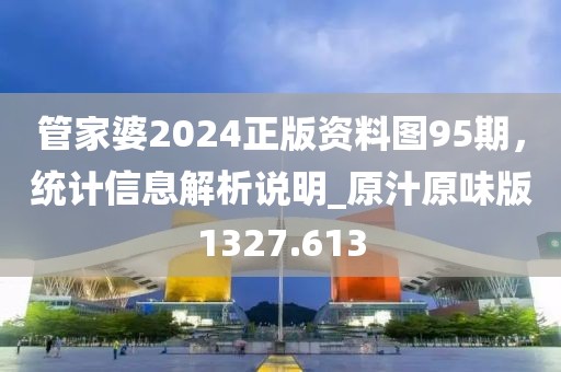 管家婆2024正版资料图95期，统计信息解析说明_原汁原味版1327.613