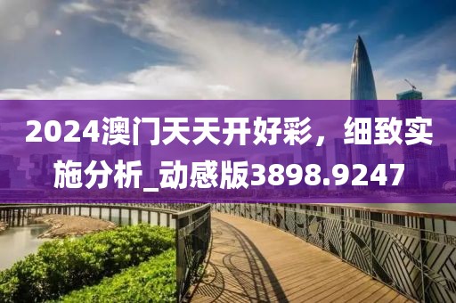 2024澳门天天开好彩，细致实施分析_动感版3898.9247