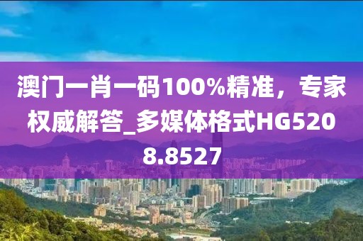 澳门一肖一码100%精准，专家权威解答_多媒体格式HG5208.8527