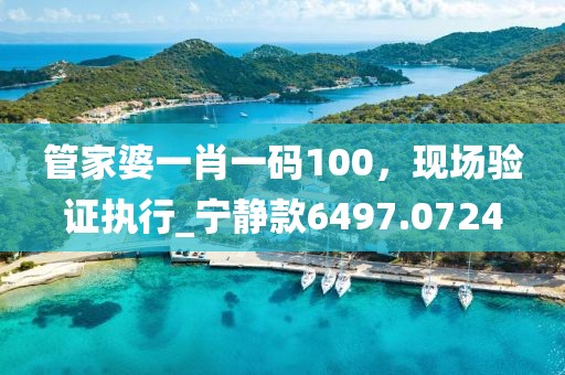管家婆一肖一码100，现场验证执行_宁静款6497.0724