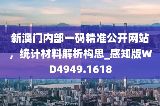 新澳门内部一码精准公开网站，统计材料解析构思_感知版WD4949.1618