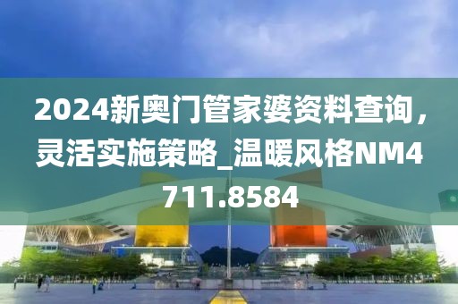 2024新奥门管家婆资料查询，灵活实施策略_温暖风格NM4711.8584