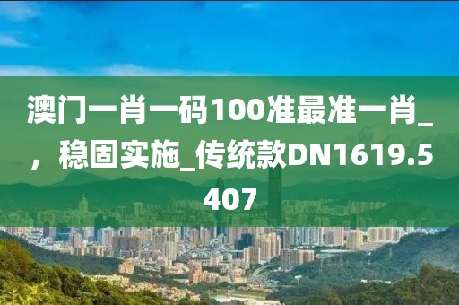 澳门一肖一码100准最准一肖_，稳固实施_传统款DN1619.5407