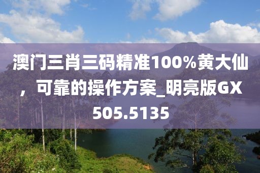 澳门三肖三码精准100%黄大仙，可靠的操作方案_明亮版GX505.5135