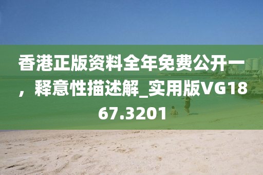 香港正版资料全年免费公开一，释意性描述解_实用版VG1867.3201