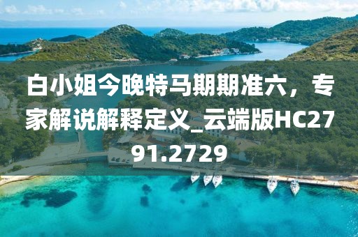白小姐今晚特马期期准六，专家解说解释定义_云端版HC2791.2729