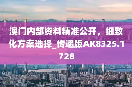 澳门内部资料精准公开，细致化方案选择_传递版AK8325.1728
