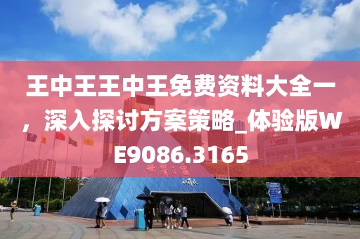 王中王王中王免费资料大全一，深入探讨方案策略_体验版WE9086.3165