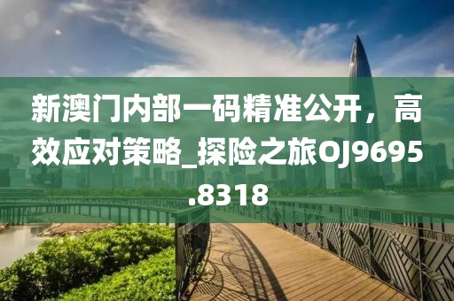 新澳门内部一码精准公开，高效应对策略_探险之旅OJ9695.8318