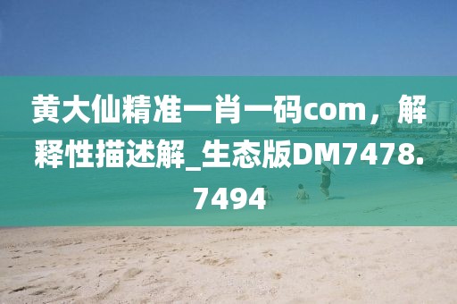 黄大仙精准一肖一码com，解释性描述解_生态版DM7478.7494