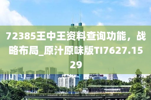 72385王中王资料查询功能，战略布局_原汁原味版TI7627.1529