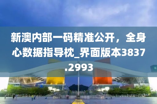 新澳内部一码精准公开，全身心数据指导枕_界面版本3837.2993