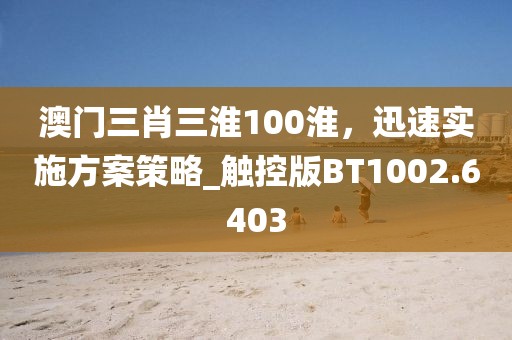 澳门三肖三淮100淮，迅速实施方案策略_触控版BT1002.6403