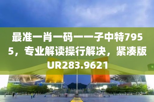 最准一肖一码一一子中特7955，专业解读操行解决，紧凑版UR283.9621