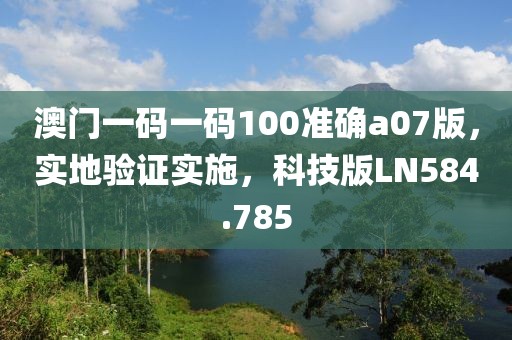 澳门一码一码100准确a07版，实地验证实施，科技版LN584.785