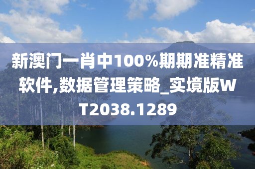 新澳门一肖中100%期期准精准软件,数据管理策略_实境版WT2038.1289
