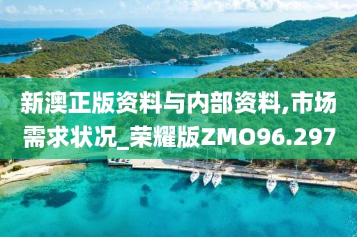 新澳正版资料与内部资料,市场需求状况_荣耀版ZMO96.297