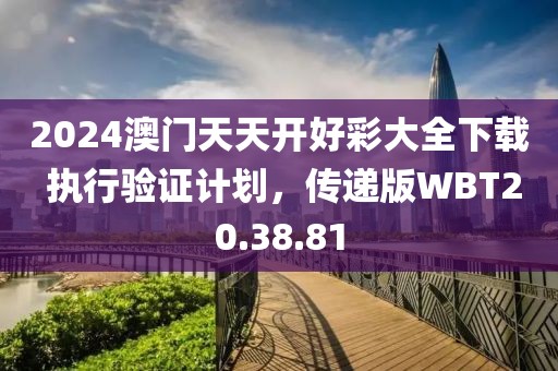 2024澳门天天开好彩大全下载 执行验证计划，传递版WBT20.38.81