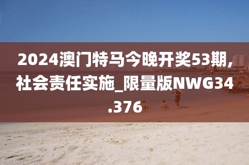 2024澳门特马今晚开奖53期,社会责任实施_限量版NWG34.376