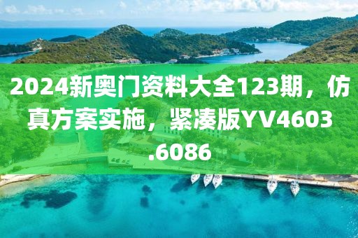2024新奥门资料大全123期，仿真方案实施，紧凑版YV4603.6086