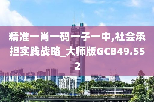 精准一肖一码一子一中,社会承担实践战略_大师版GCB49.552