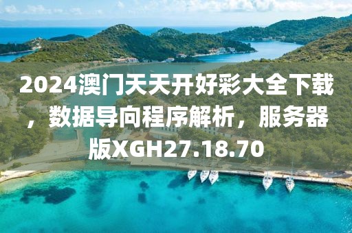 2024澳门天天开好彩大全下载，数据导向程序解析，服务器版XGH27.18.70