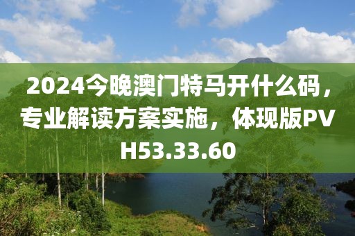 2024今晚澳门特马开什么码，专业解读方案实施，体现版PVH53.33.60