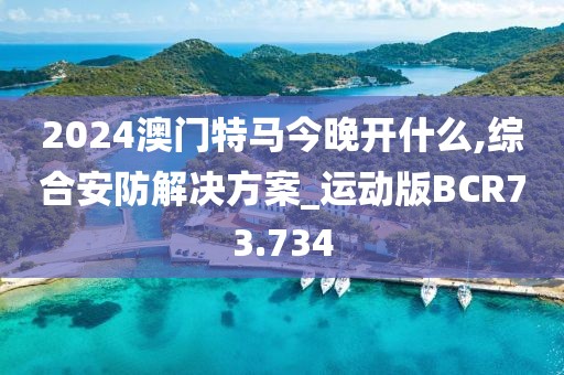 2024澳门特马今晚开什么,综合安防解决方案_运动版BCR73.734