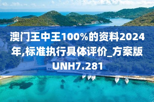 澳门王中王100%的资料2024年,标准执行具体评价_方案版UNH7.281