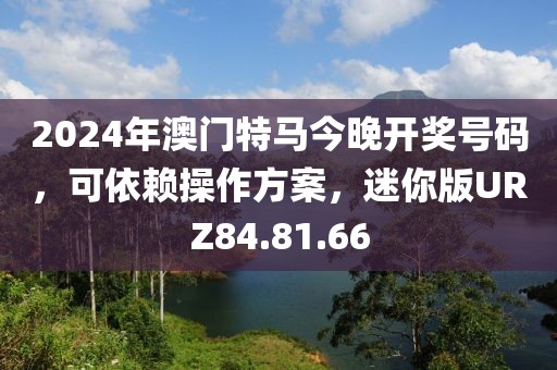 2024年澳门特马今晚开奖号码，可依赖操作方案，迷你版URZ84.81.66